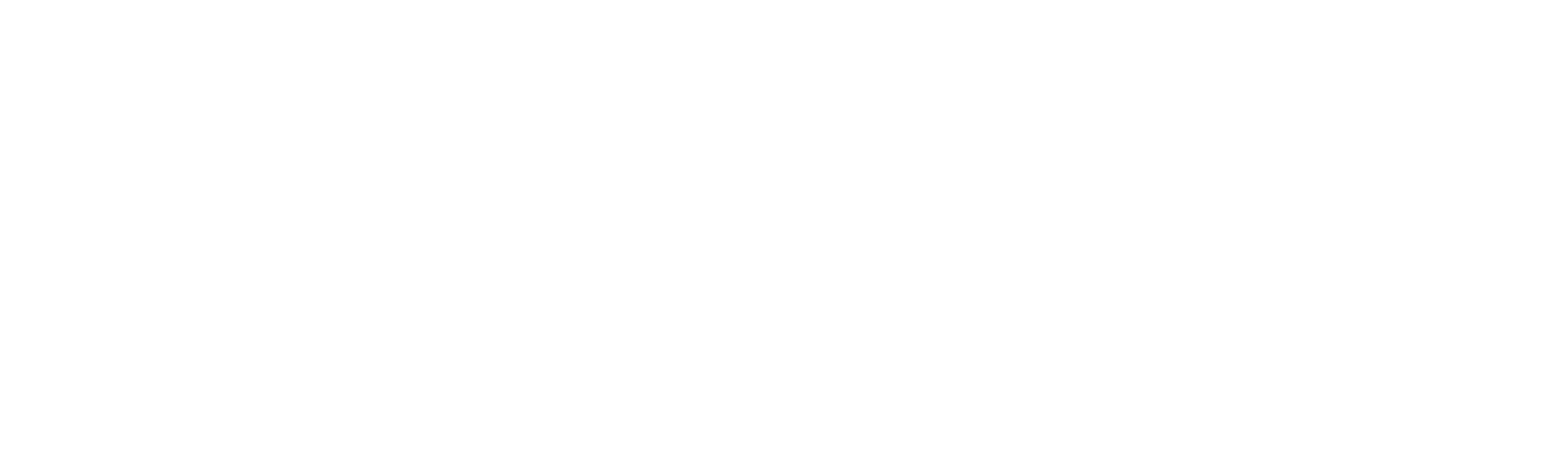 Fortuna Logo